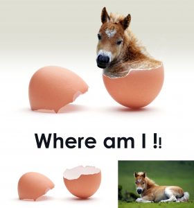 Where-am-I