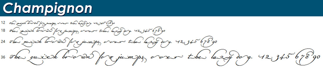 caligraphy script fonts