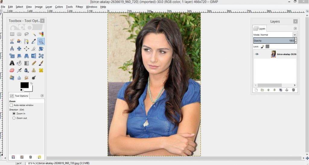 gimp remove background