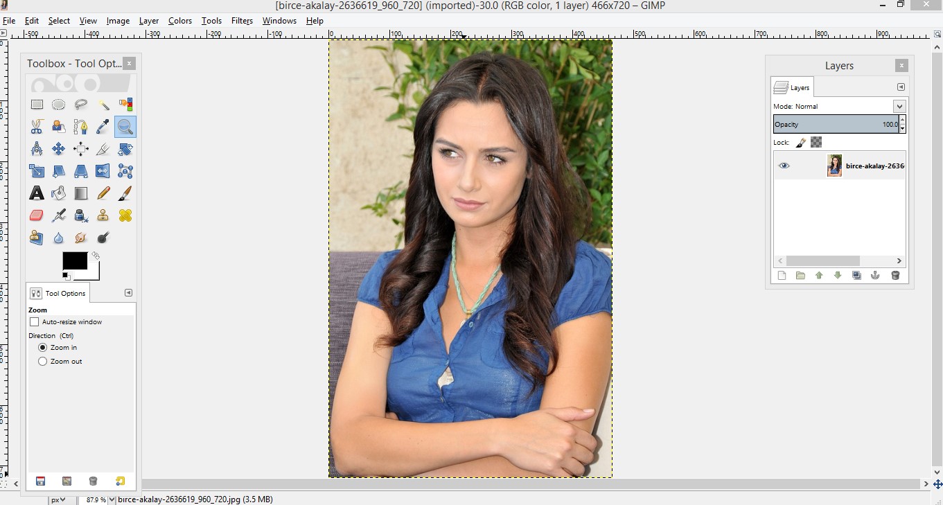 remove background gimp