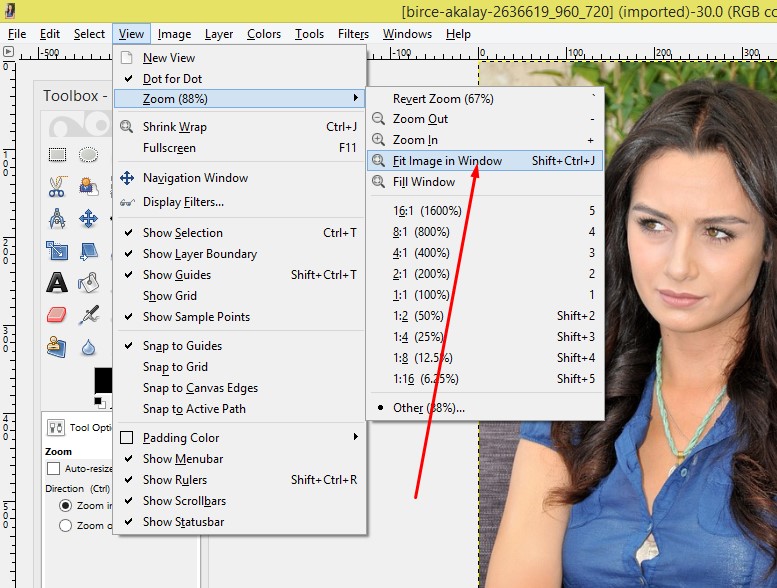 Remove Image Background using GIMP