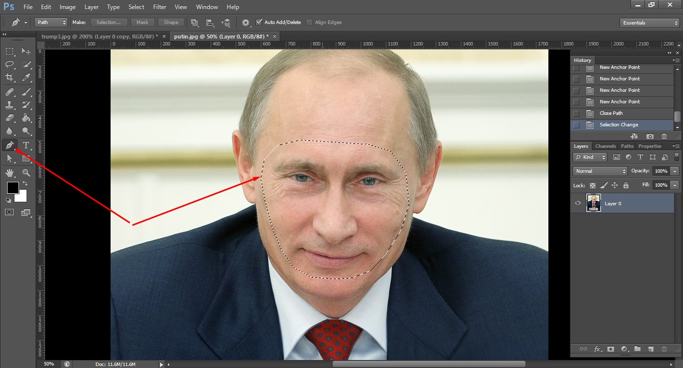 How to Swap Faces in Face Morphing Tutorial CEI