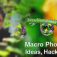 Macro Photography Ideas, Hacks & tricks