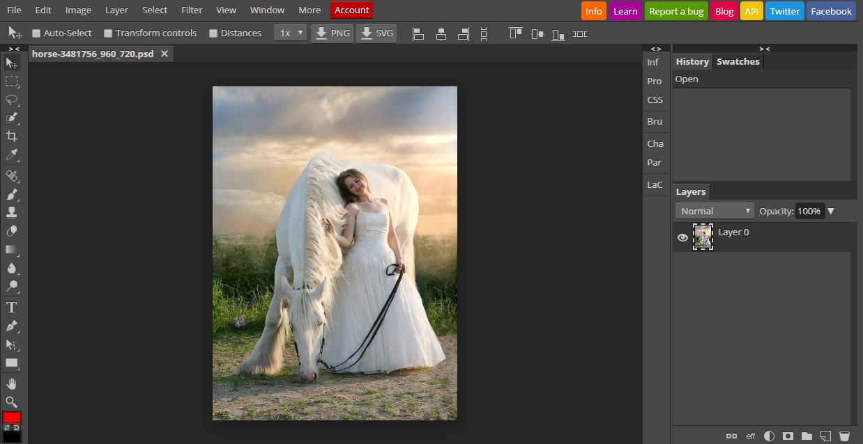 loonapix photo editor software