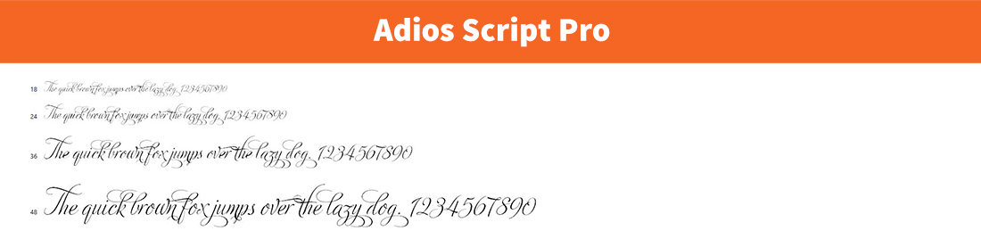 Adios Script Pro