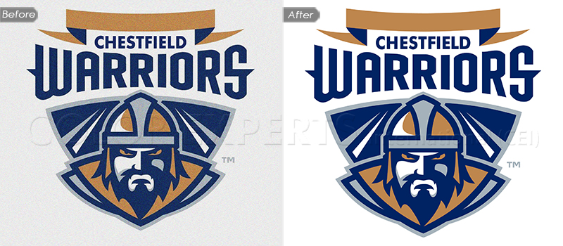 Vector Logo Design Vector Logo Design