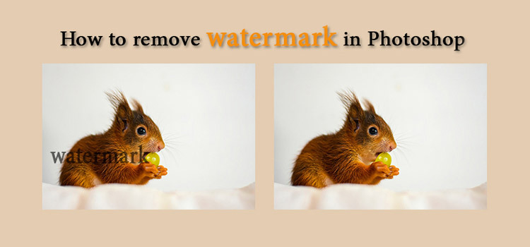 remove stock photo watermark photoshop cs6 remove stock photo watermark photoshop cs6