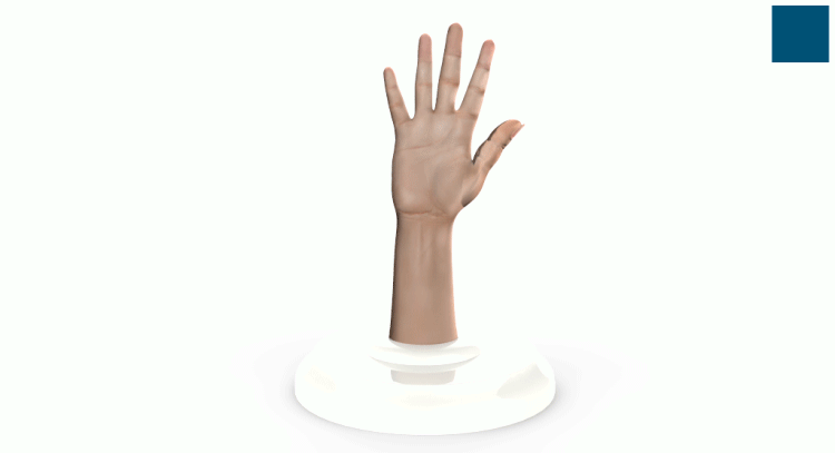 3D Revolution Hand