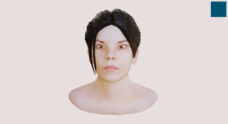 3D Revolution Head