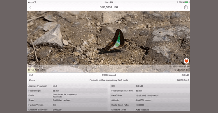 exif data viewer ios exif data viewer ios
